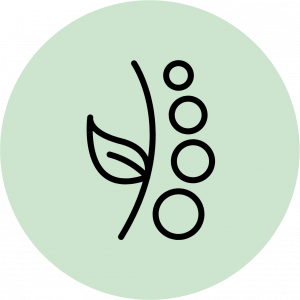 Tratemientos adicionales de la clínica de fisioterapia y osteopatía Paula Eguizábal